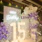 Birthday 15 Setup 134