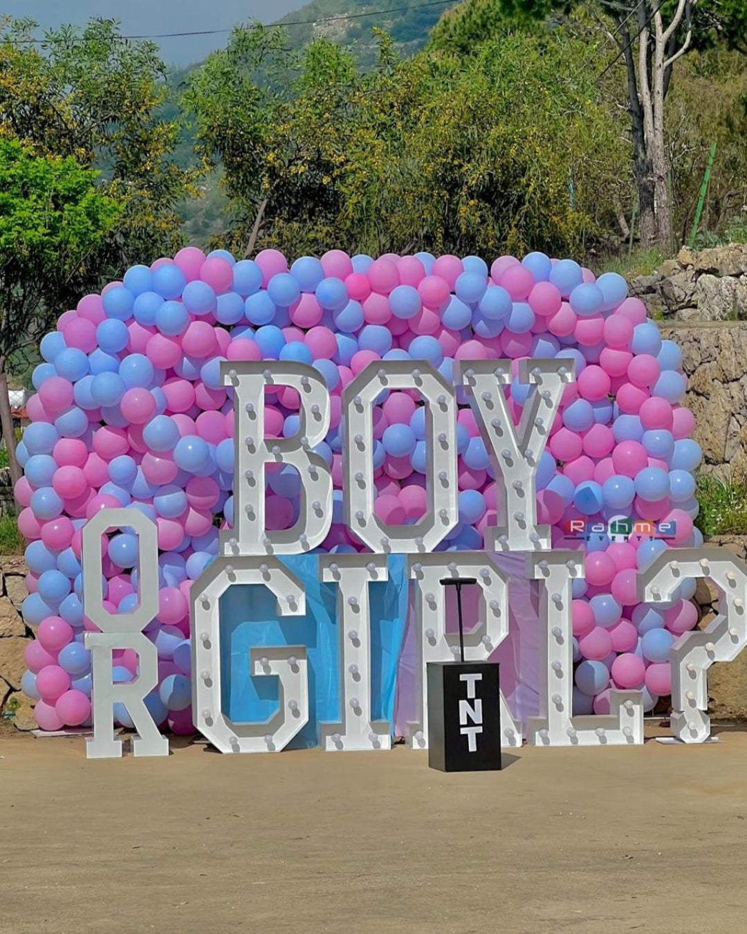 Gender Reveal Set 2