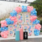 Gender Reveal Set - 11
