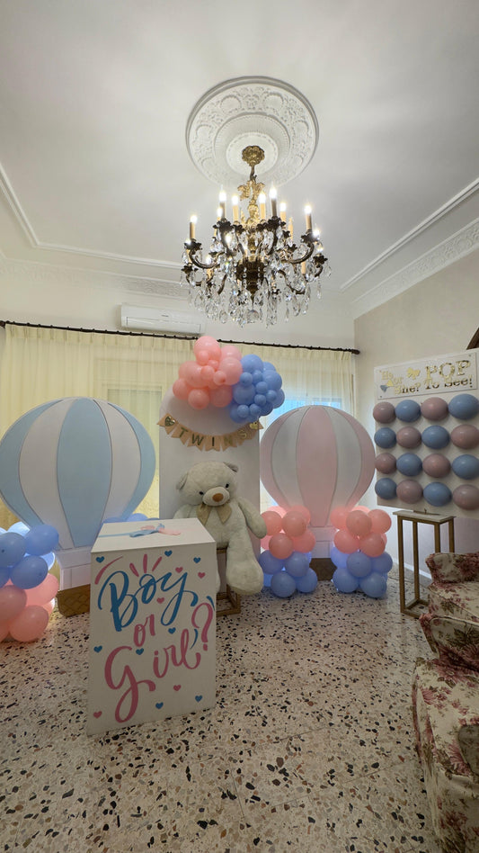 Gender Reveal Set - 53