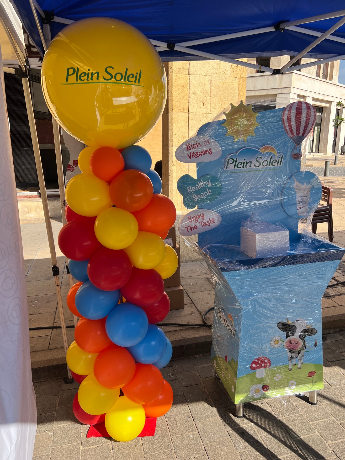 Balloon Arrangement - Print Logo.
