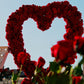 Proposal Decoration set RR48