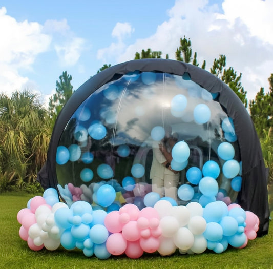 Gender Reveal Set 33-P8