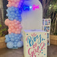 Gender Reveal Set 167
