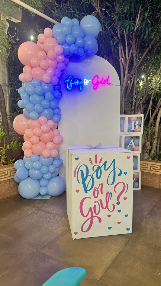 Gender Reveal Set - 43