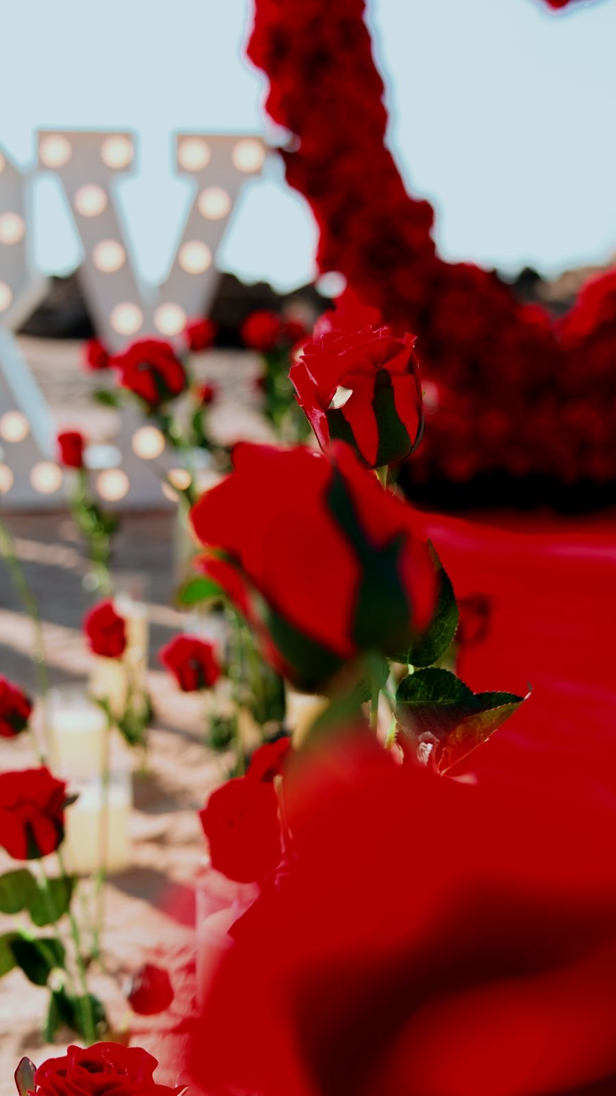 Proposal Decoration set RR48