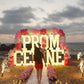 Promposal Set 17