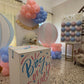 Gender Reveal Set - 53