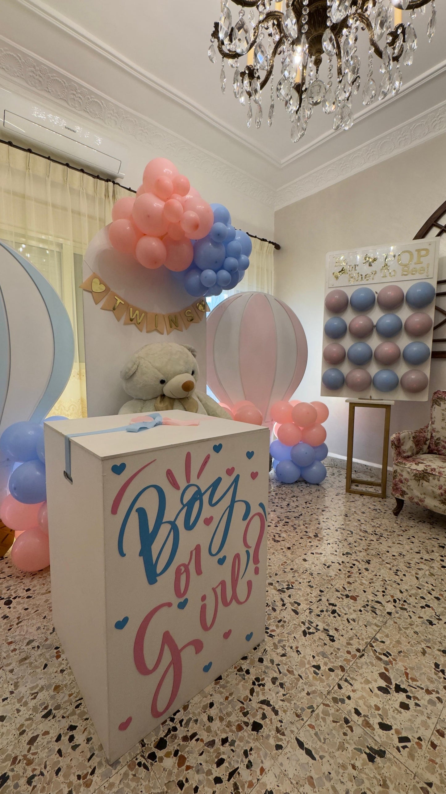 Gender Reveal Set - 53
