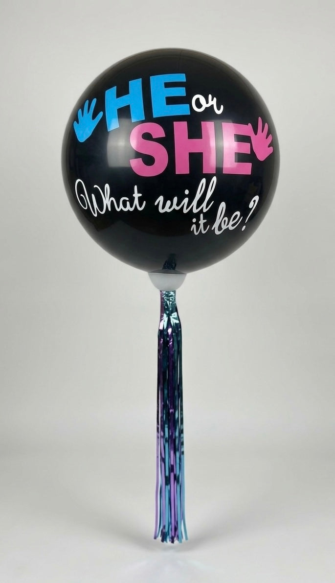Gender Reveal -G6/1