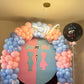 Gender Reveal Set 163