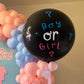 Gender Reveal Set 163