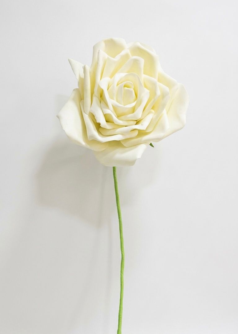Giant White Flowers (30)