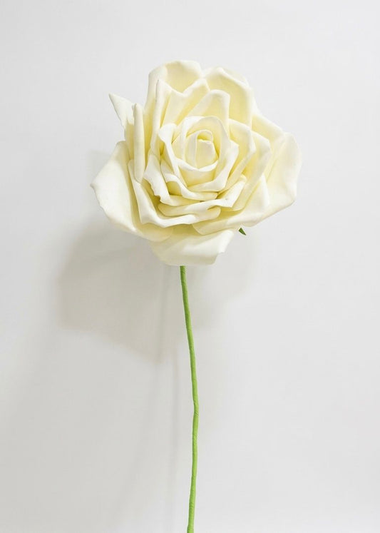 Giant White Flowers (30)