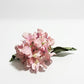 Ortansia Singl Pink