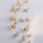 Rose Gold butterfly 3D For Decoration-110