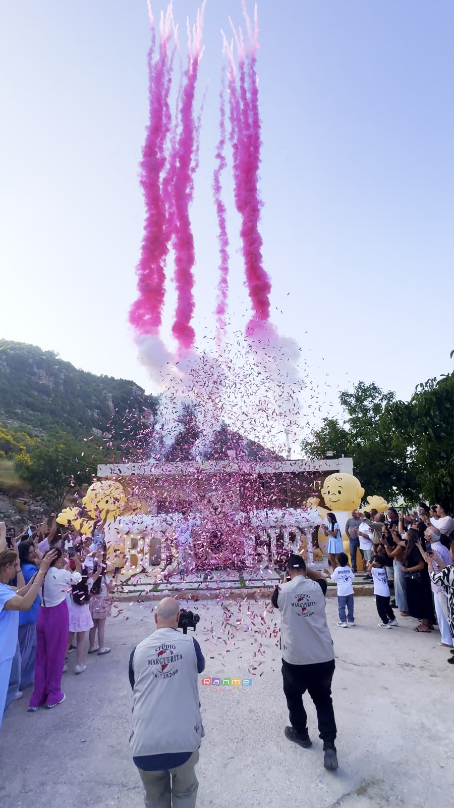 Gender Reveal Set - 56