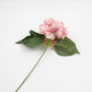 Ortansia Singl Pink