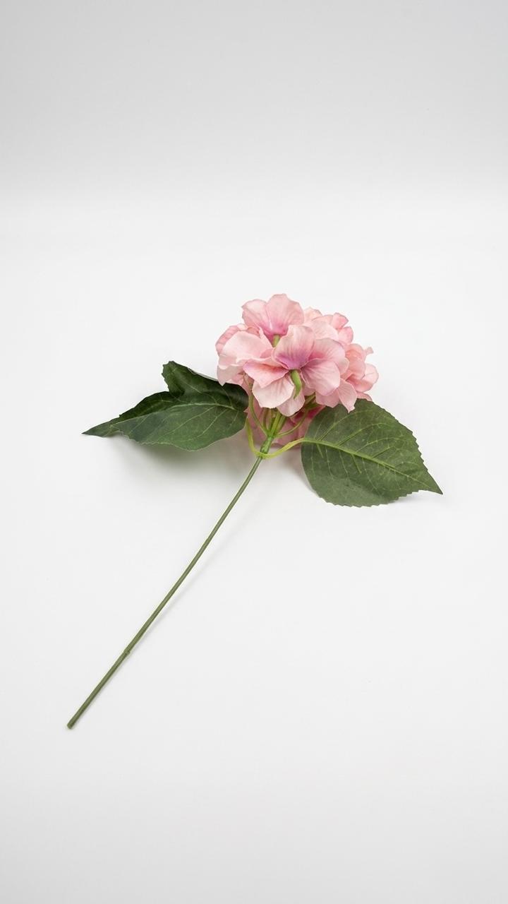 Ortansia Singl Pink
