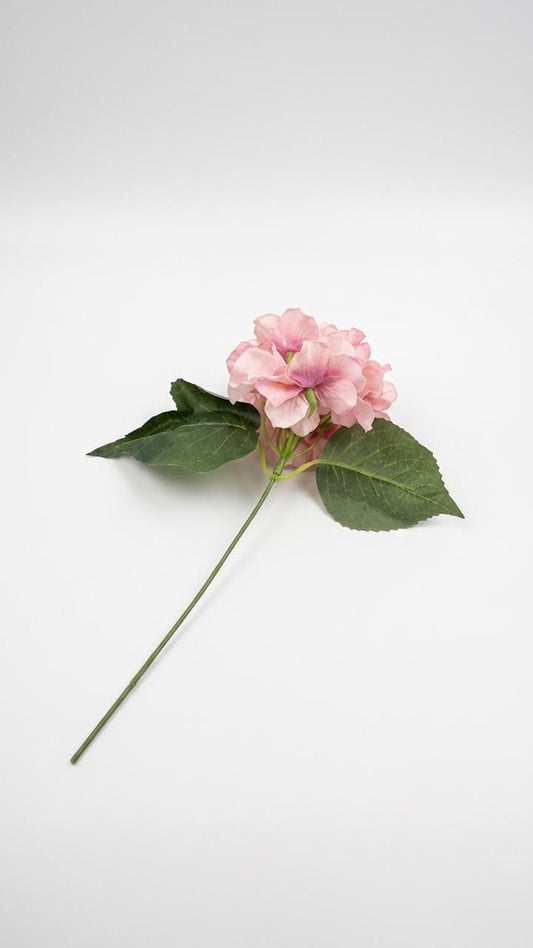 Ortansia Singl Pink