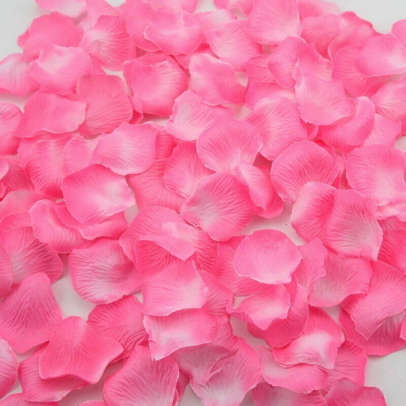 Pink Rose Petals-147