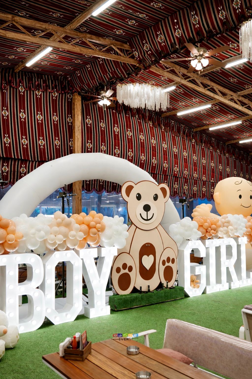 Gender Reveal Set 172