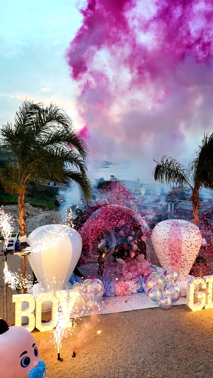 Gender Reveal Set - 29