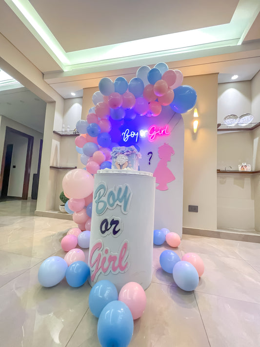 Gender Reveal Set - 52