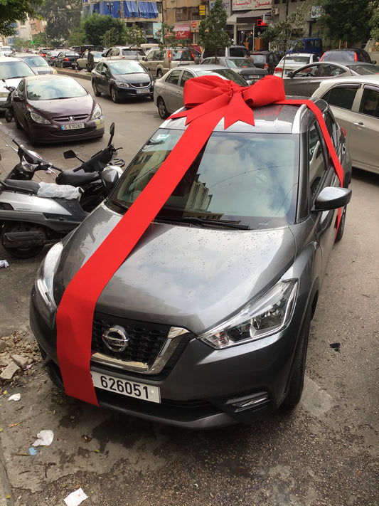 Graduation car decorations-20