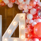 Number 4 Light Up - N255-1-4
