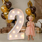 Number 2 Light Up - N255-1-2