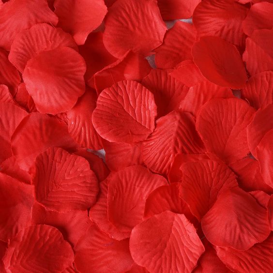 Red Rose Petals-146