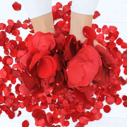 Red Rose Petals