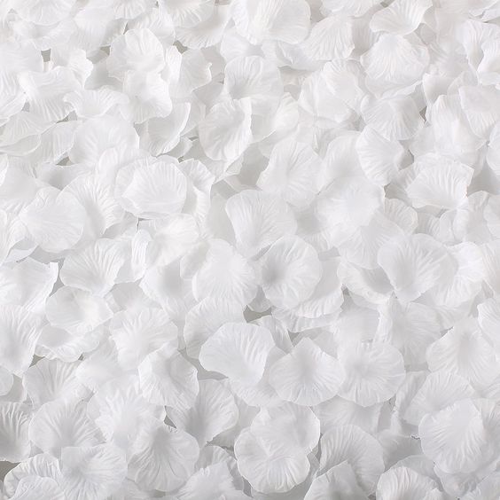 White Rose Petals-148