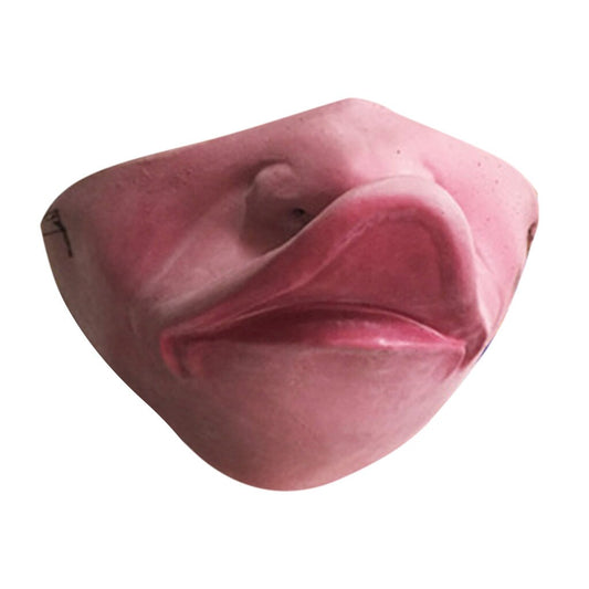 Duck Face Mask AL134-9