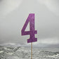 Glitter Number