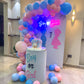 Gender Reveal Boy or Girl