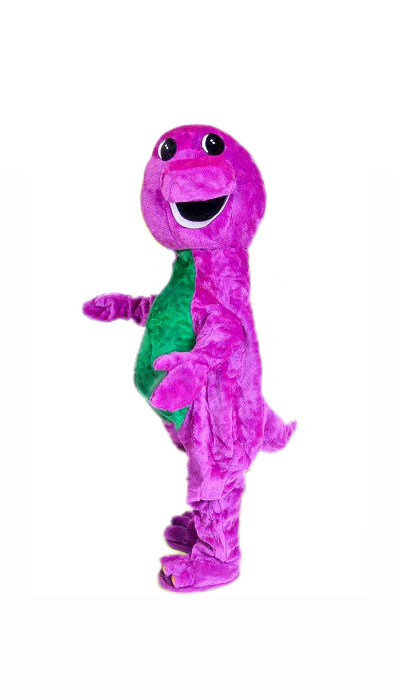 Barney Character