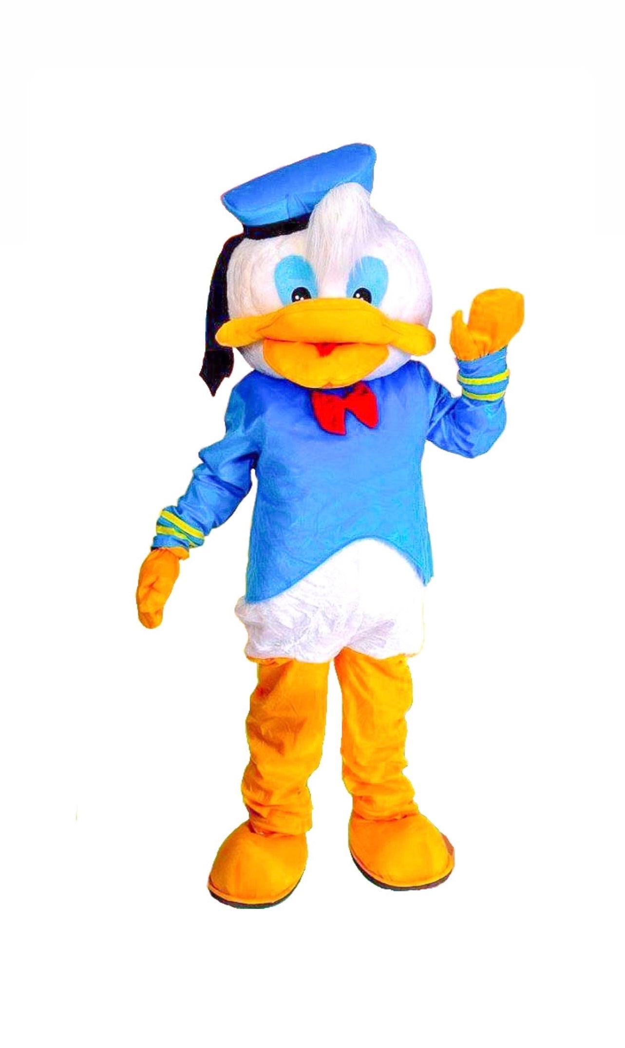 Donald Duck Character