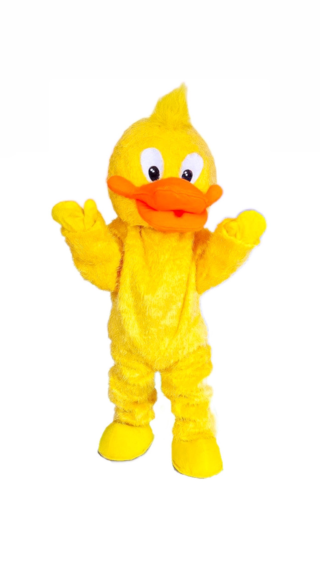 Yellow Duck Character