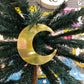 For Rent - Palm Tree