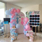 Gender Reveal Home Party Decoration