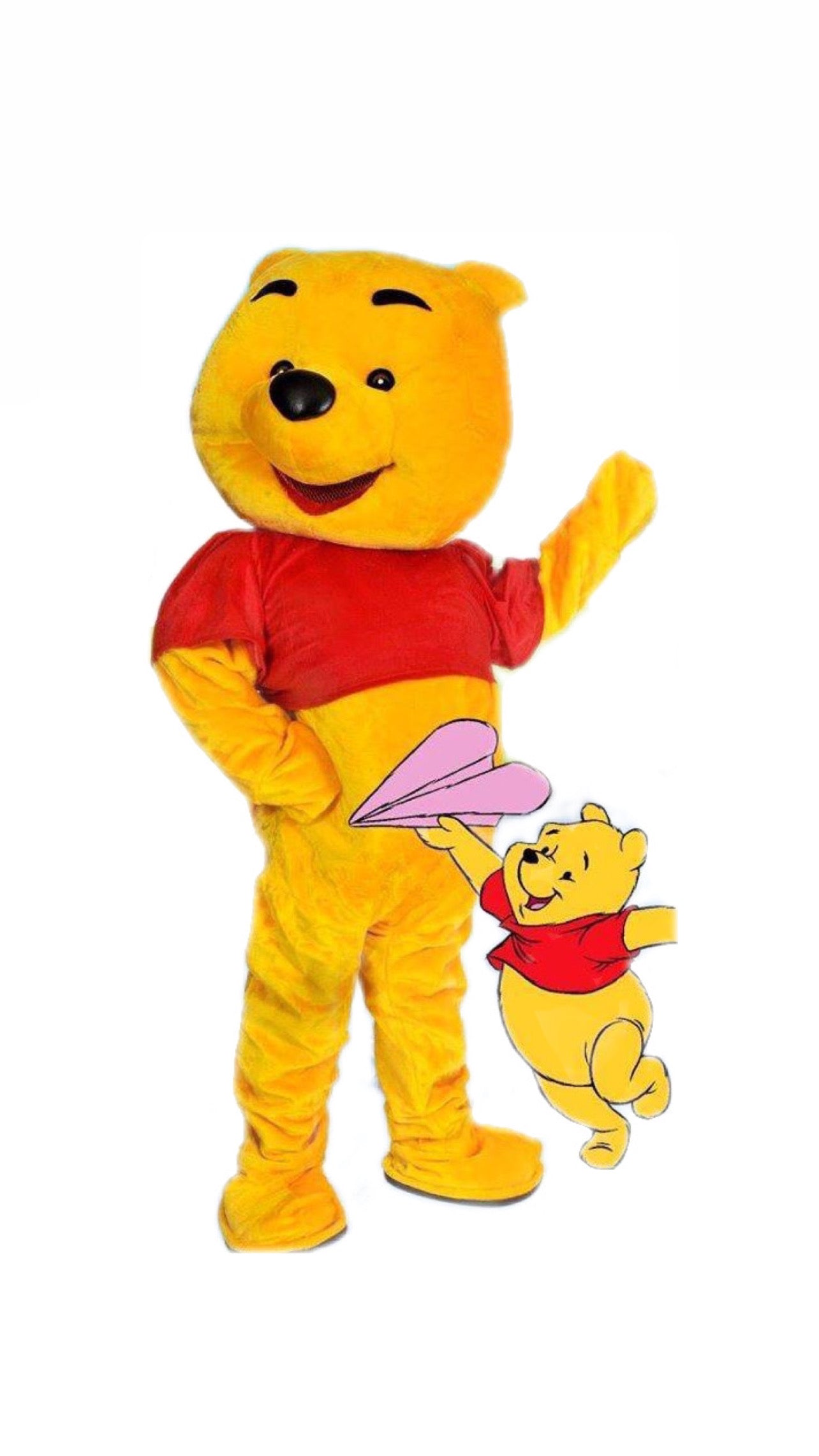 Winnie The Pooh character.