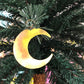 For Rent - Palm Tree