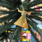 For Rent - Palm Tree