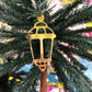 For Rent - Palm Tree